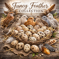 Fancy Feather Collection – Specialty Coturnix Quail Hatching Eggs Subscription
